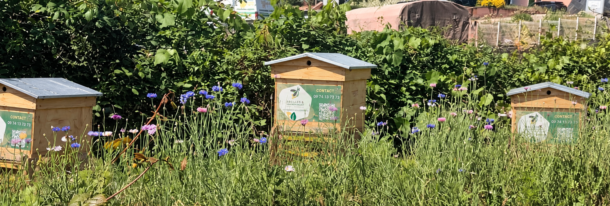 Ruches en bois naturel dans un jardin fleuri Ruches Abeilles & Environnement en bois naturel avec leurs toits pentus
