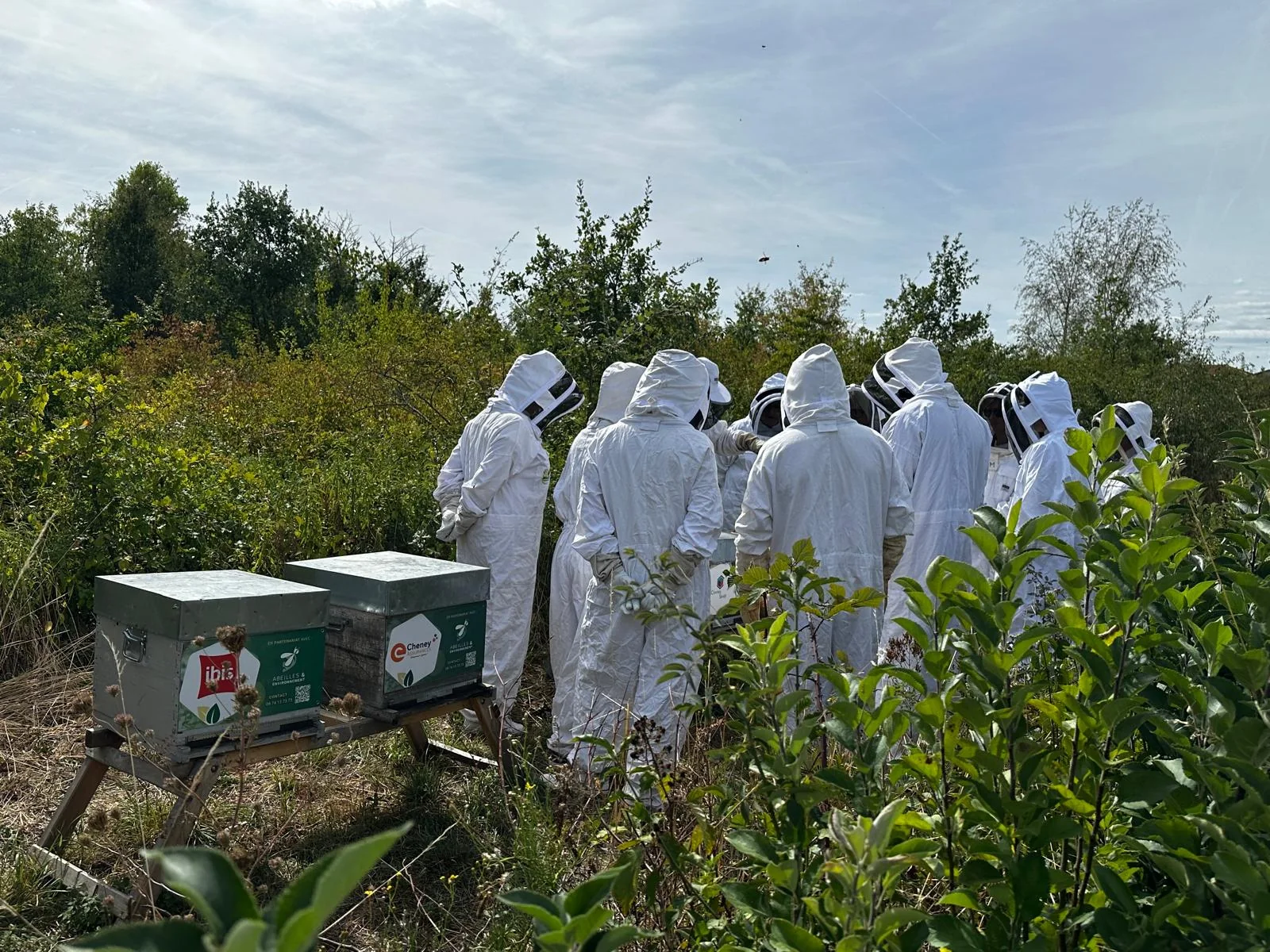 Animation de rentrée au rucher avec les participants en tenue d’apiculture