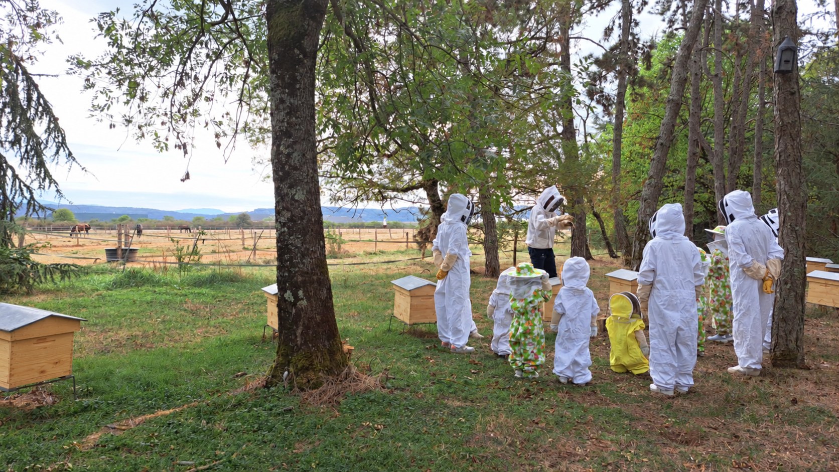 Visite du rucher avec des enfants et des adultes en tenue d’apiculture